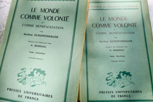 Schopenhauer mondo come - schopenhauer, il