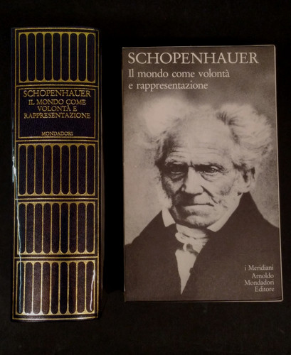 Schopenhauer mondo come - schopenhauer,